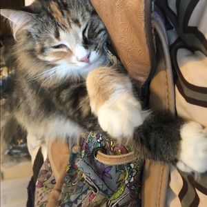 Meet your Posher, Hali